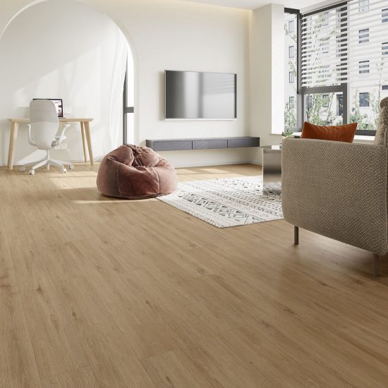 HCL Holm Oak1