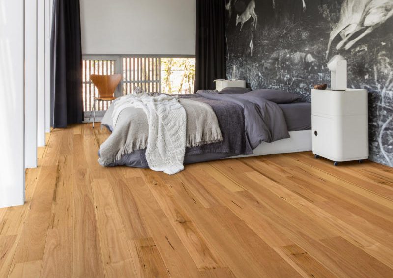 Quick Step Amato Blackbutt