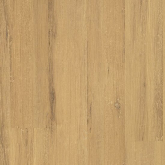 SL Blackbutt main