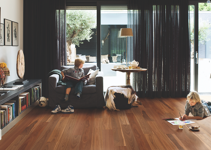 Spotted Gum