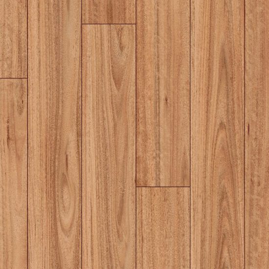 Clix XL Blackbutt