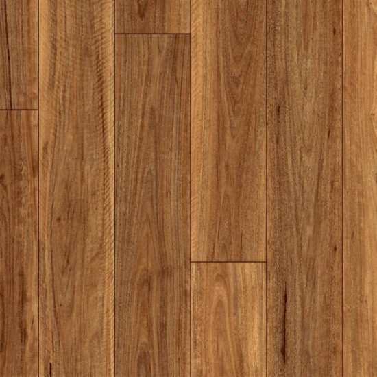 Clix XL Spotted Gum